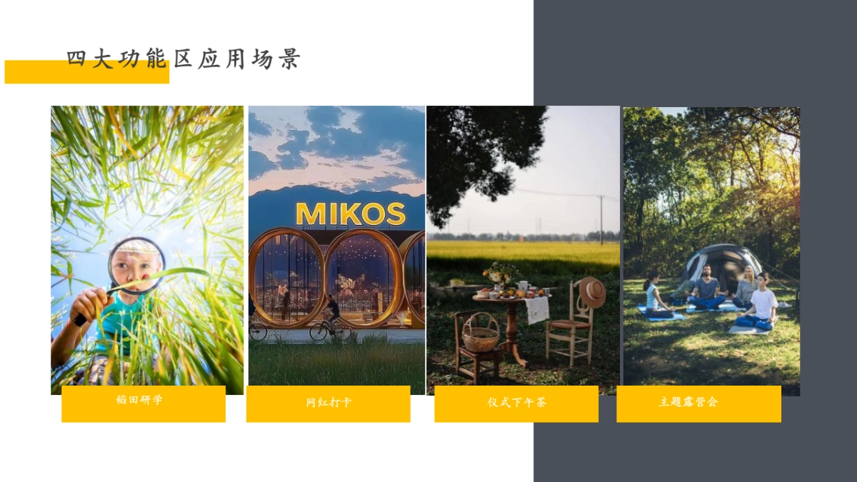 2024三水集·稻田书香乡村营地文旅项目田野生活方式集运营策划方案_第10页