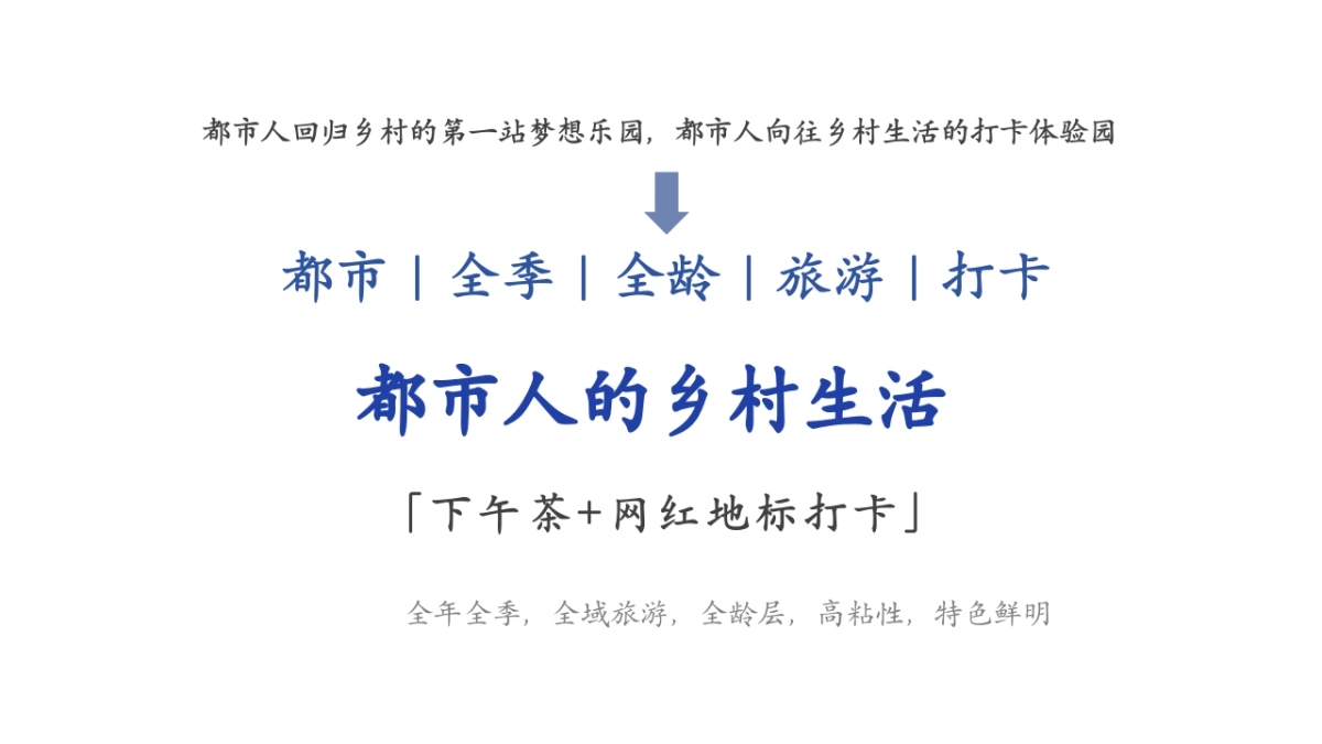 2024三水集·稻田书香乡村营地文旅项目田野生活方式集运营策划方案_第6页