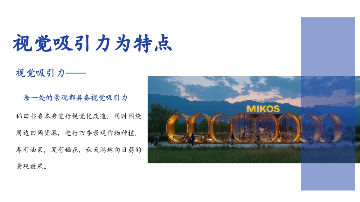 2024三水集·稻田书香乡村营地文旅项目田野生活方式集运营策划方案_第7页
