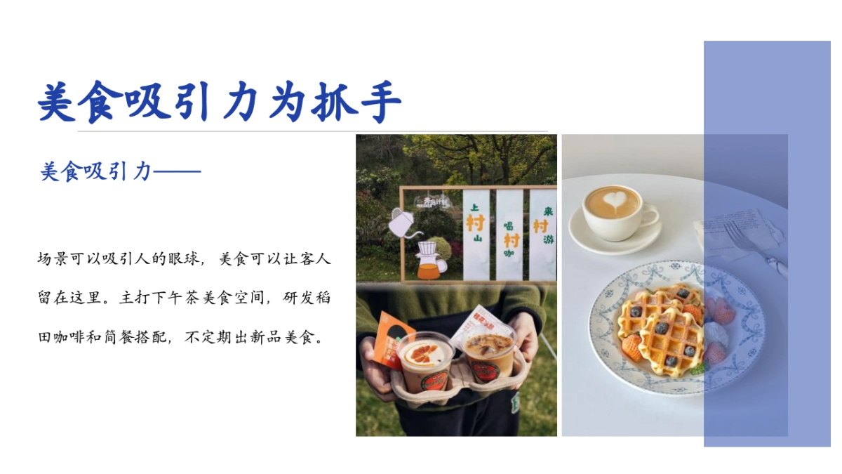 2024三水集·稻田书香乡村营地文旅项目田野生活方式集运营策划方案_第8页