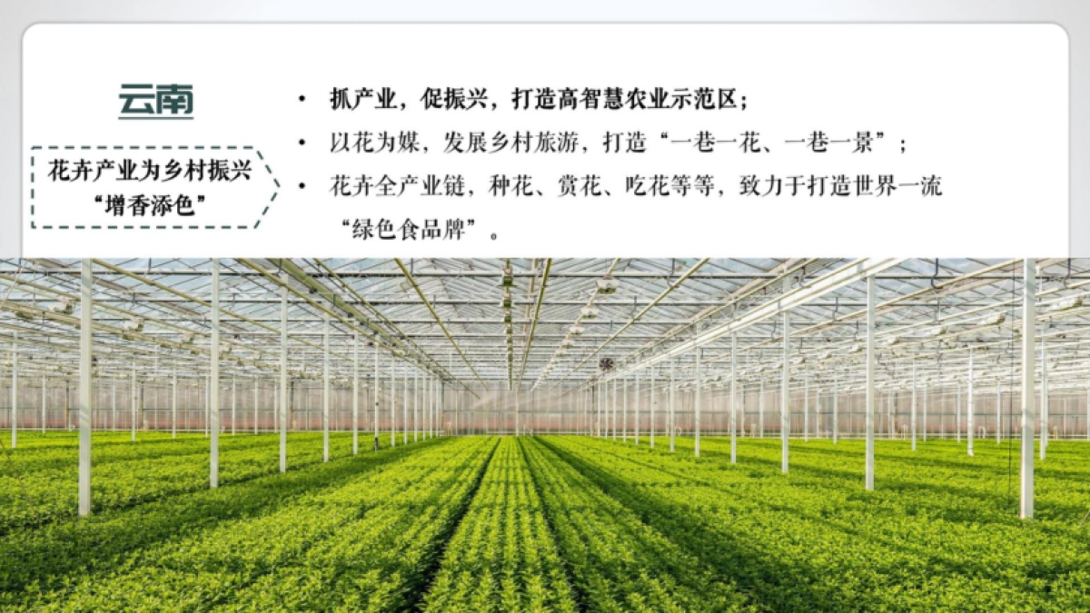 2024乡村振兴乡投品牌定位策略推广全案_第10页