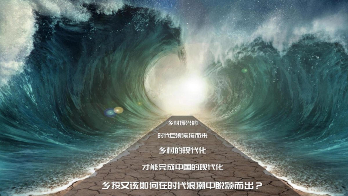 2024乡村振兴乡投品牌定位策略推广全案_第2页