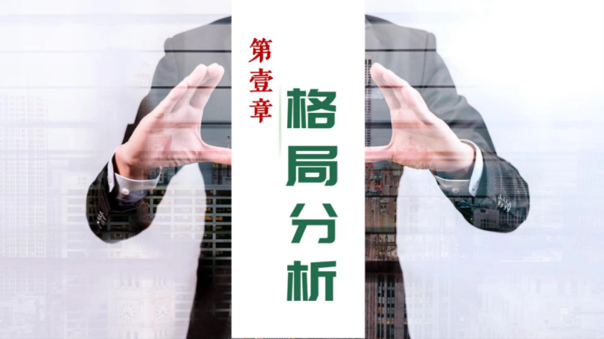 2024乡村振兴乡投品牌定位策略推广全案_第3页