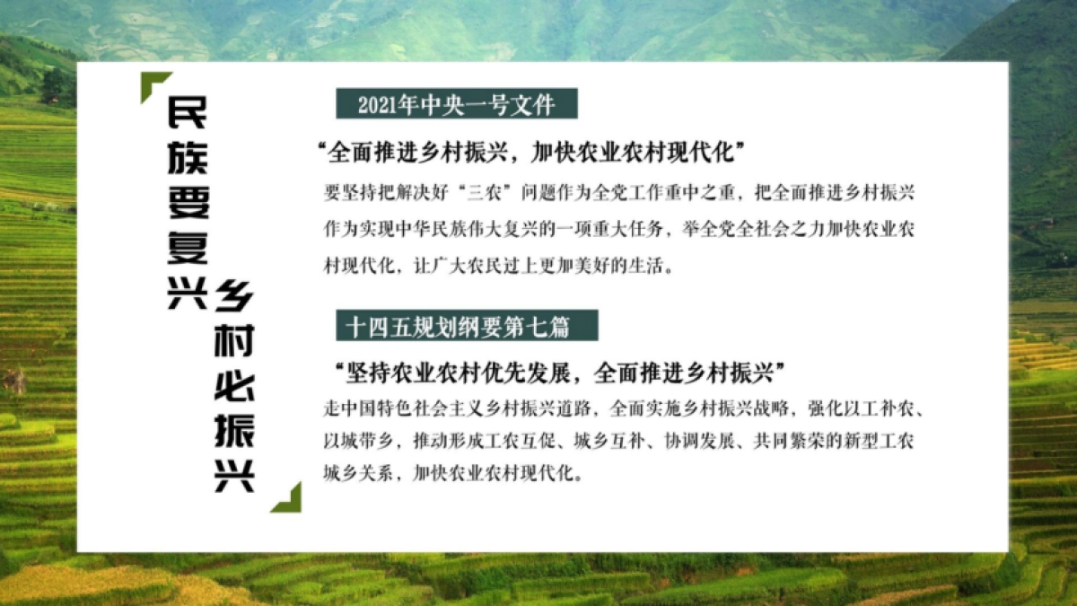 2024乡村振兴乡投品牌定位策略推广全案_第6页