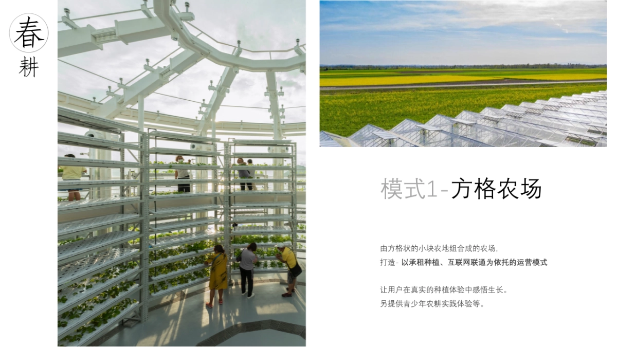 湿地露营年度活动方案PPT_第7页