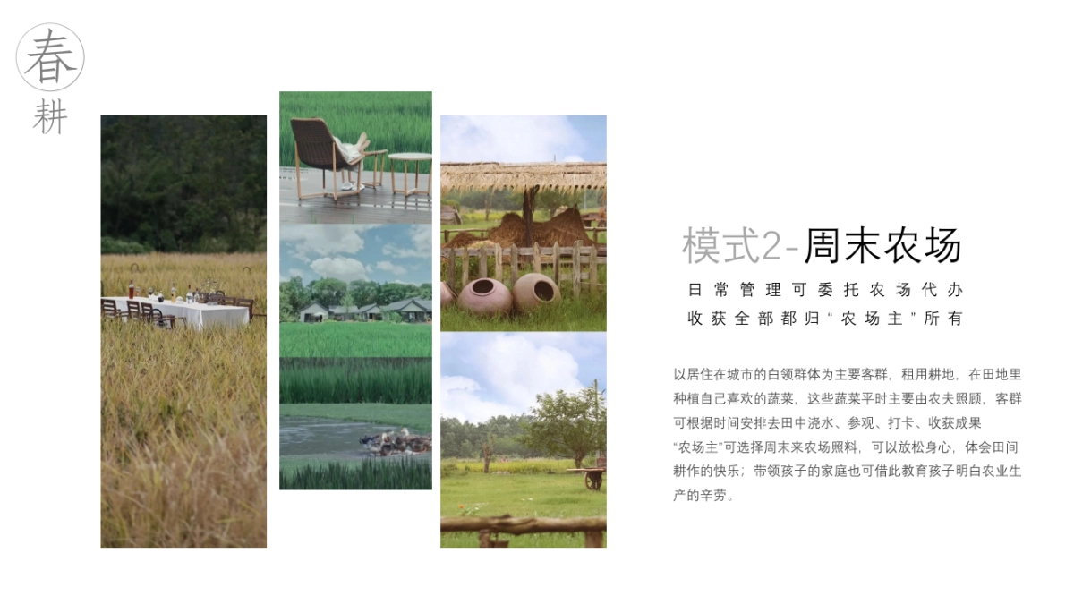 湿地露营年度活动方案PPT_第8页