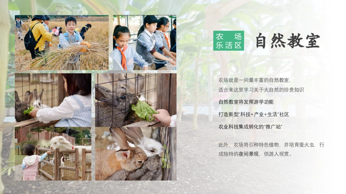 湿地露营年度活动方案PPT_第9页