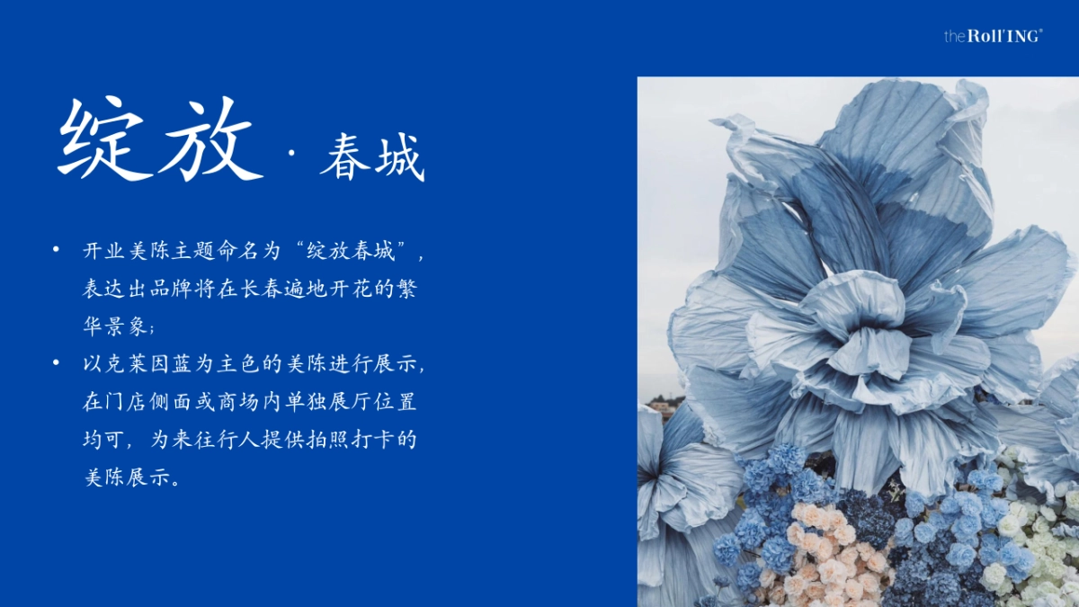 2024手工瑞士卷长春首店开业活动策划案_第6页