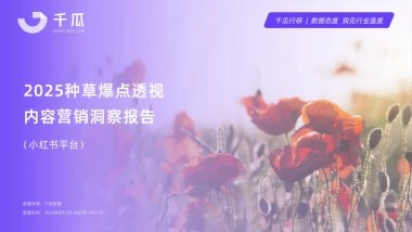 2025年种草爆点透视内容营销洞察报告（小红书平台）