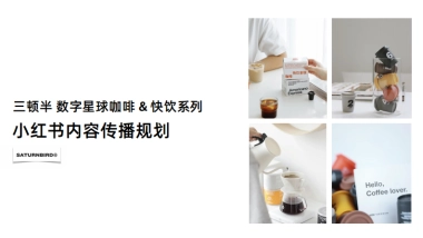 三顿半小红书内容传播规划