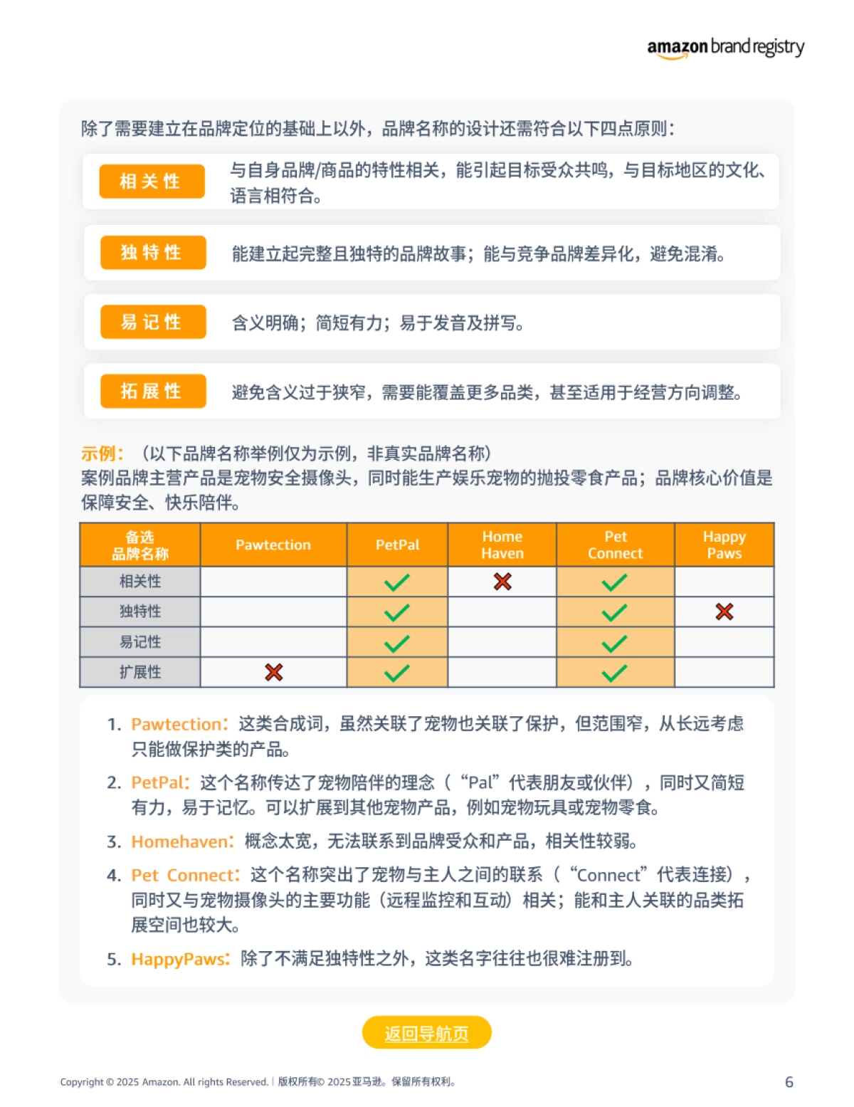 2025年亚马逊品牌注册申请流程指南报告_第6页
