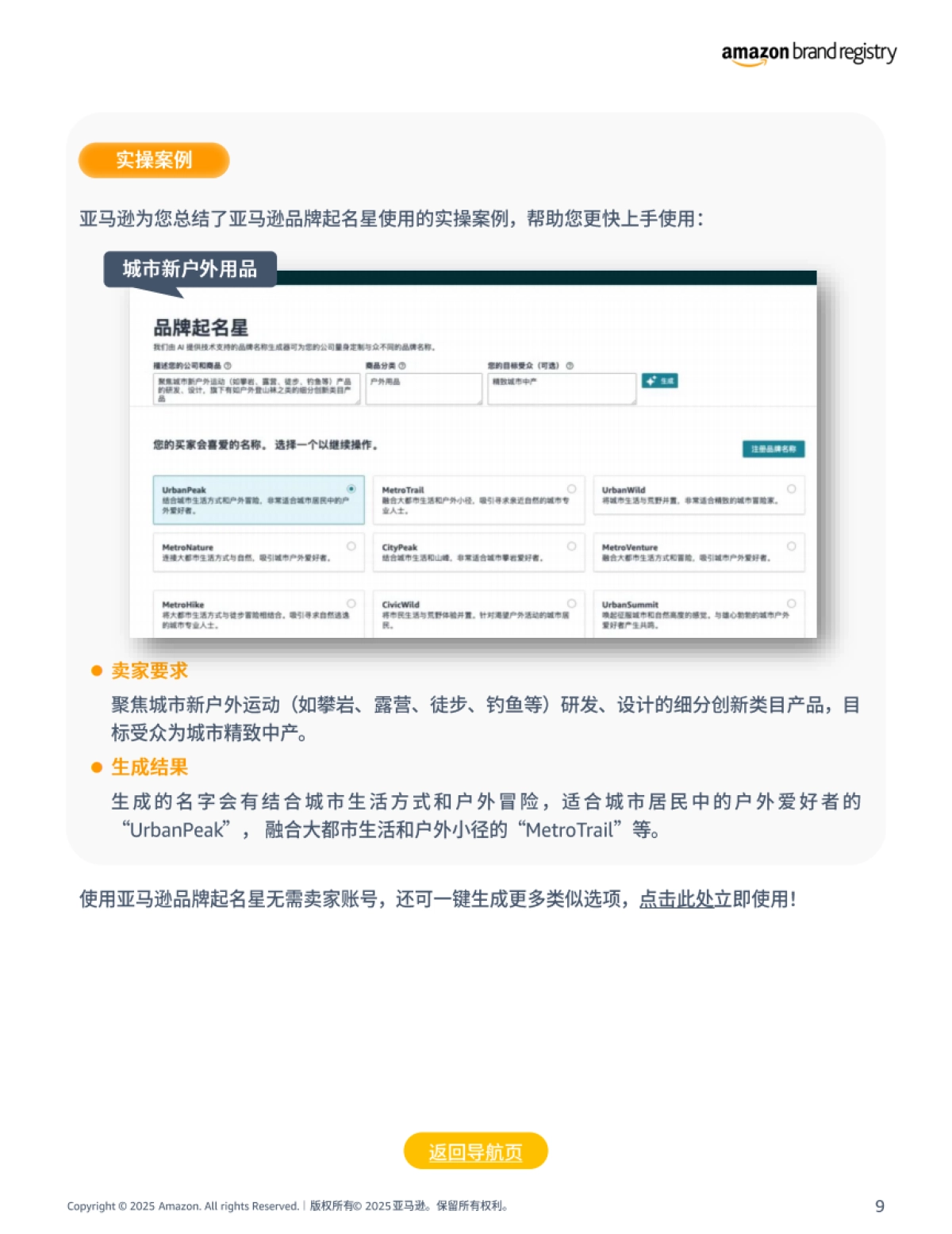 2025年亚马逊品牌注册申请流程指南报告_第9页