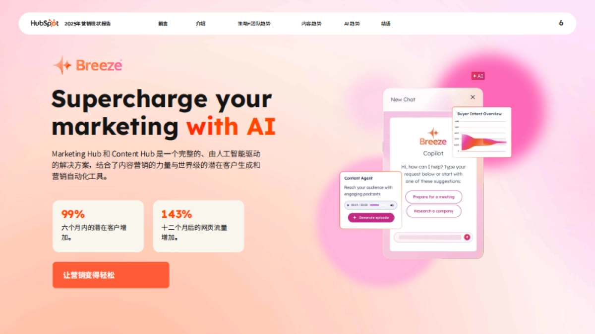 2025营销现状报告_第6页