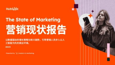 2025营销现状报告
