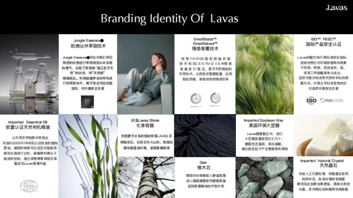 Lavas流动之境BrandBook_第10页