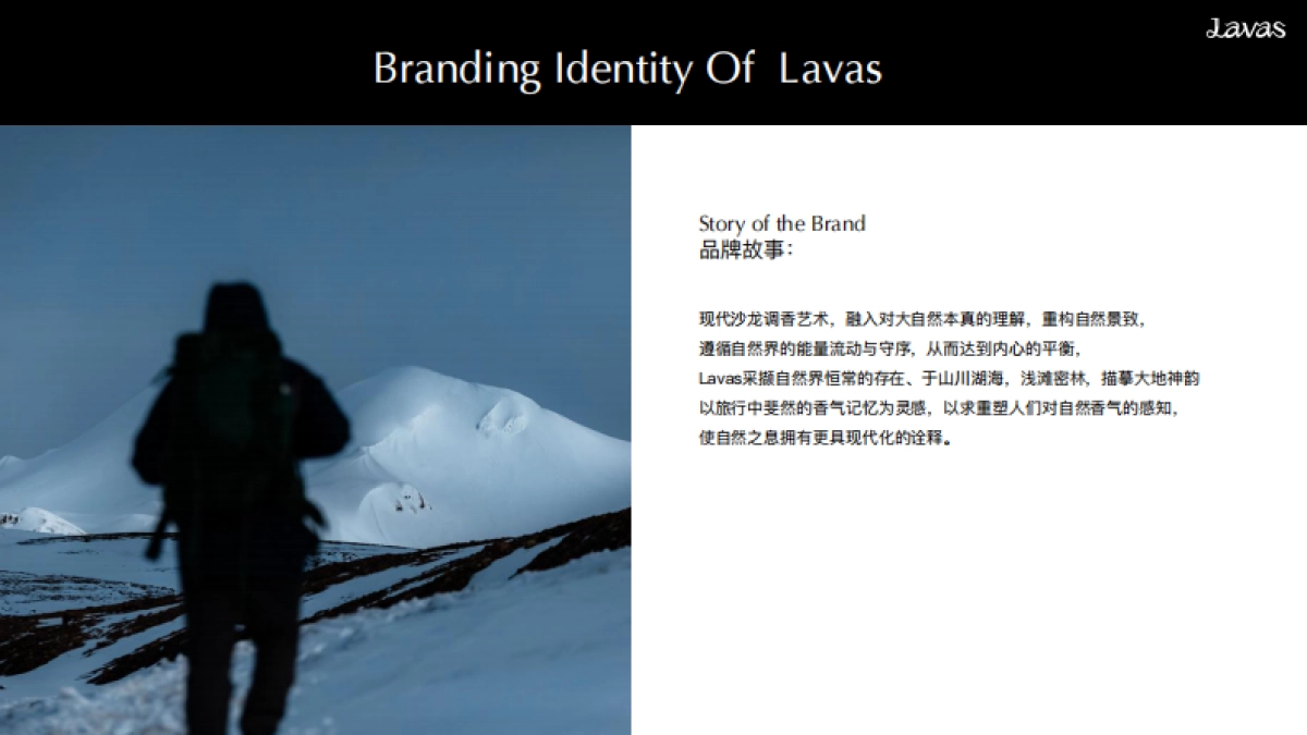 Lavas流动之境BrandBook_第4页