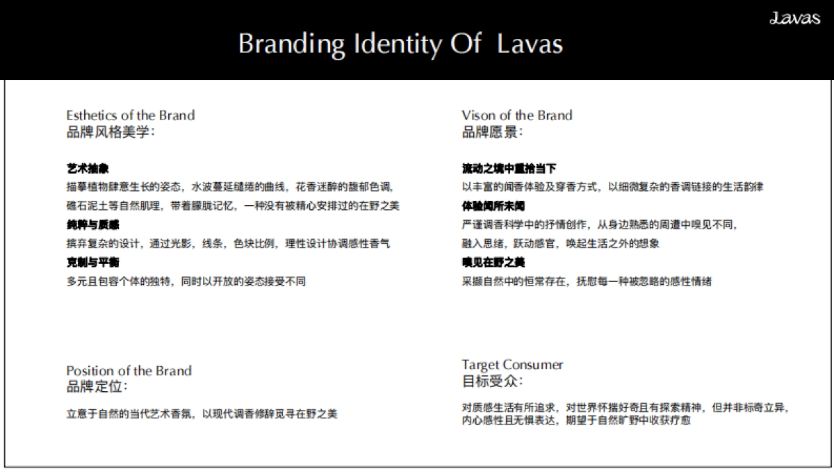 Lavas流动之境BrandBook_第5页