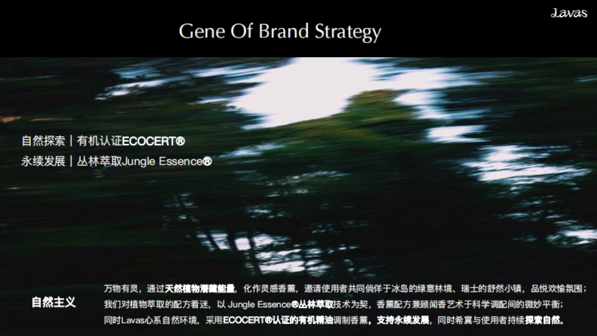 Lavas流动之境BrandBook_第6页