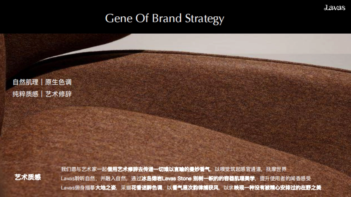 Lavas流动之境BrandBook_第7页