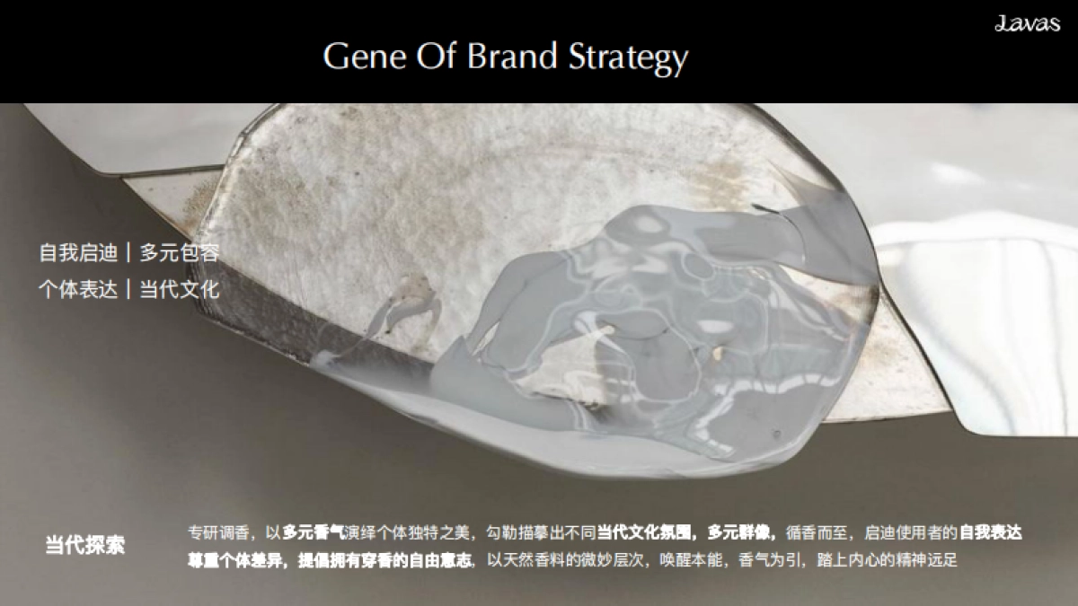 Lavas流动之境BrandBook_第8页