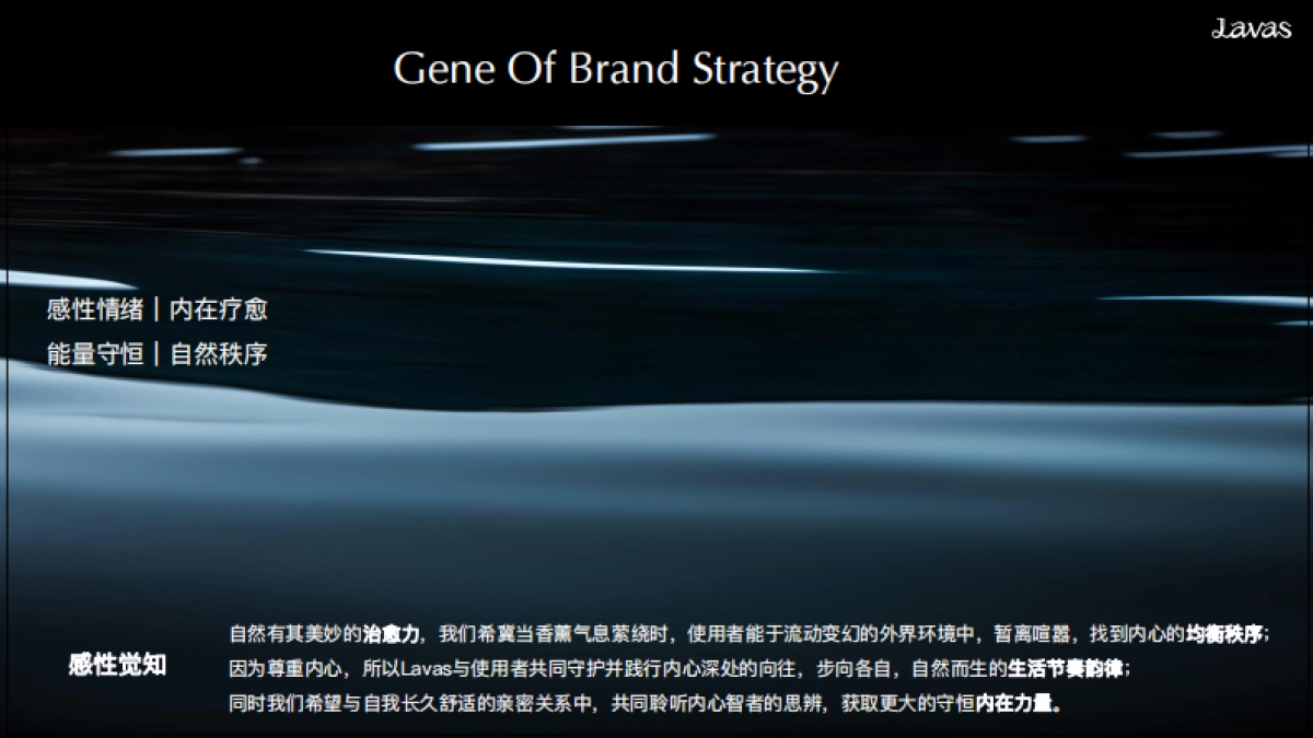 Lavas流动之境BrandBook_第9页