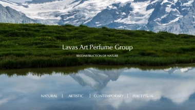 Lavas流动之境BrandBook