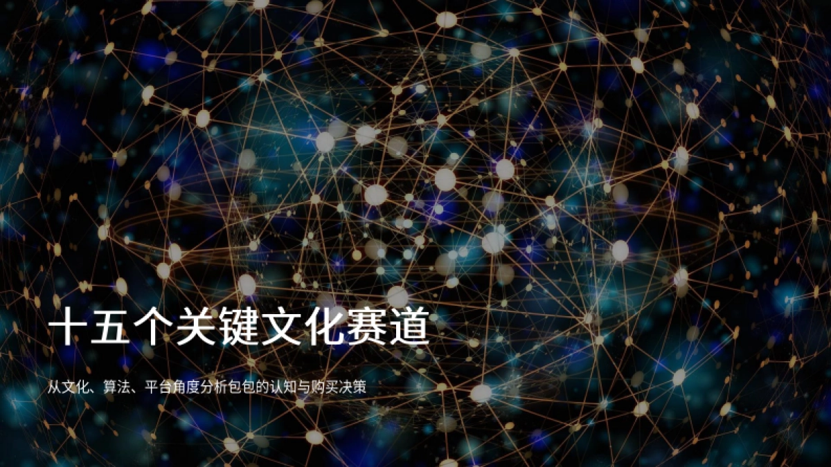 电通dentsu：2025量化心智影响，解锁包包文化赛道_第5页