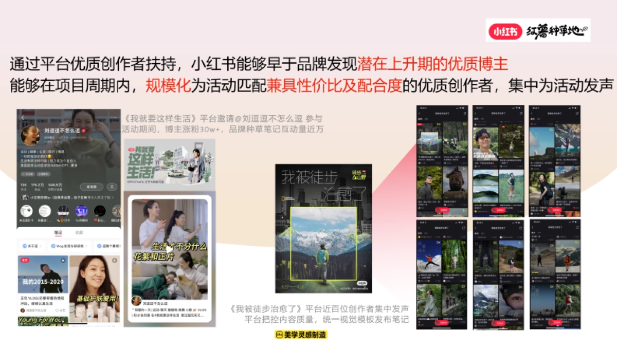 小红书2025红薯种草地优质创作者计划_第5页