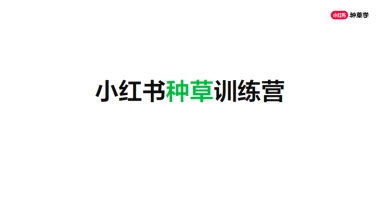 小红书营销策略和种草实战玩法