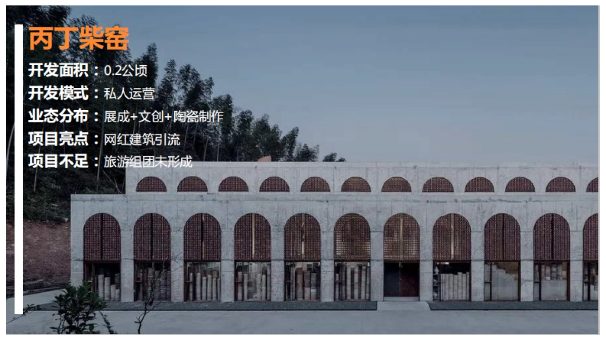 2024国际文化艺术会客村浮梁县进坑村景区发展思路乡村定位规划方案_第7页