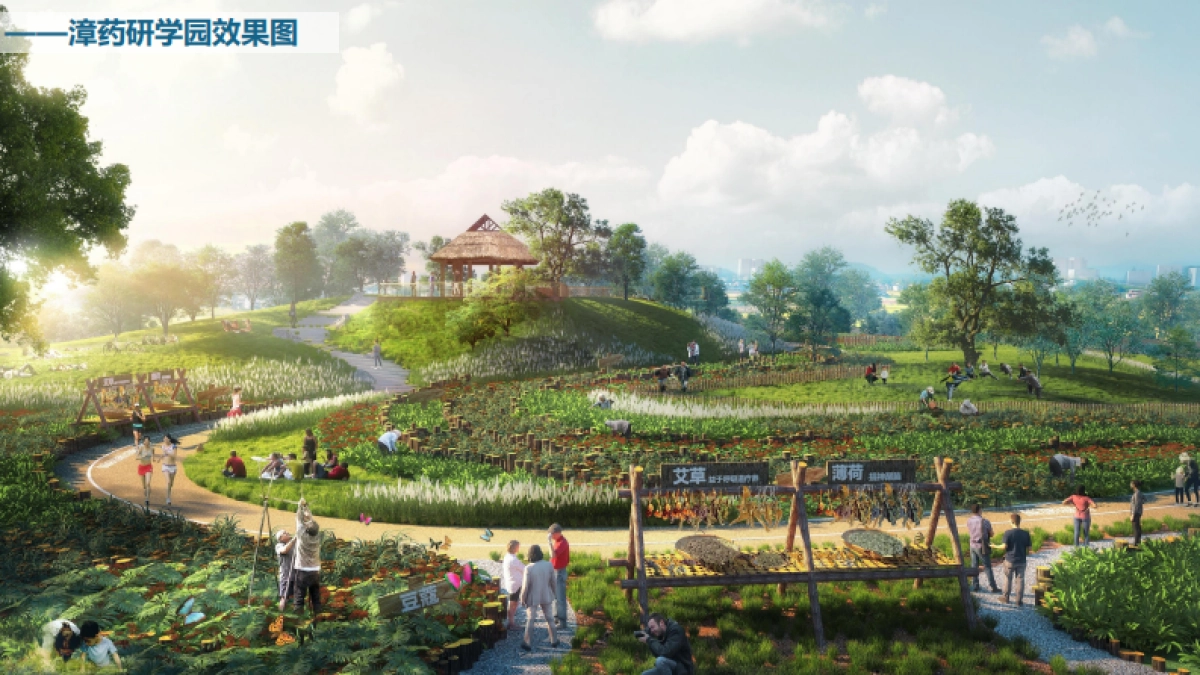 2024漳县九居药王谷休闲康养农文旅项目定位规划设计概念方案_第2页