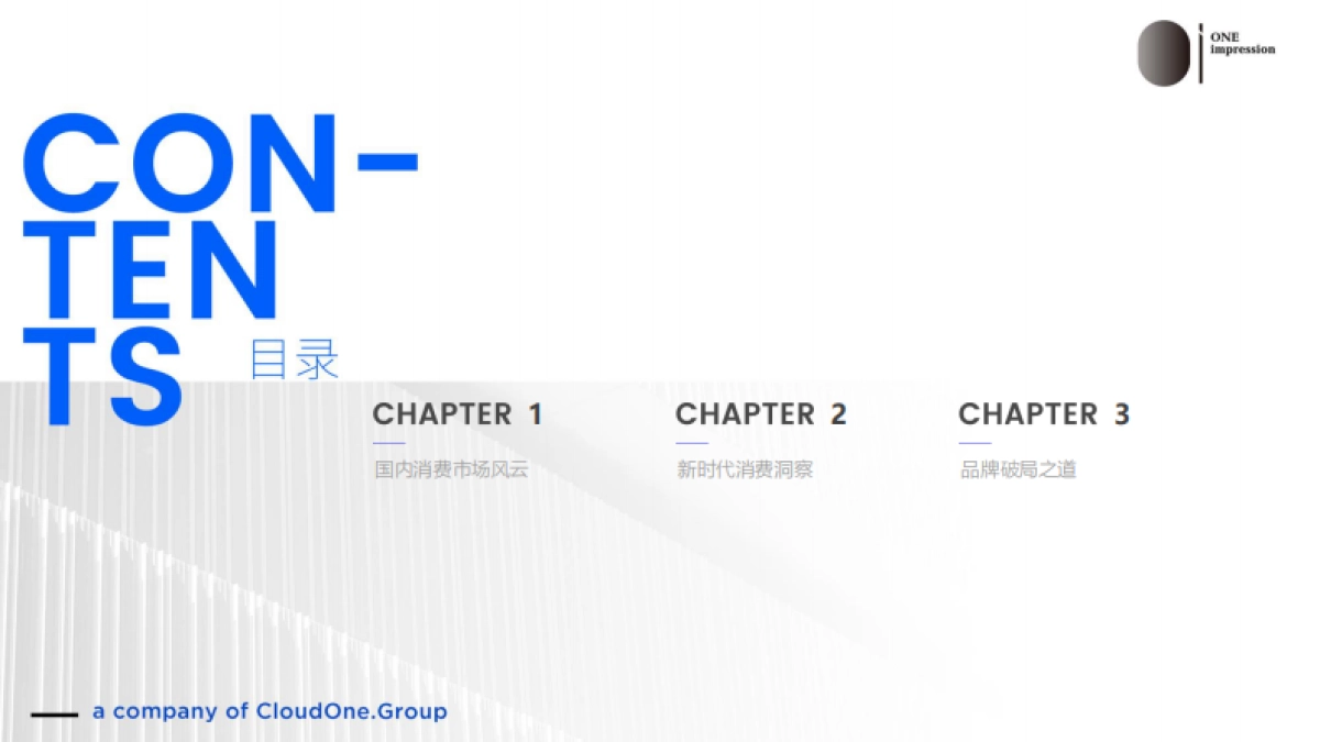 2024消费降级-现象洞察与破局之道-OI咨询_第4页