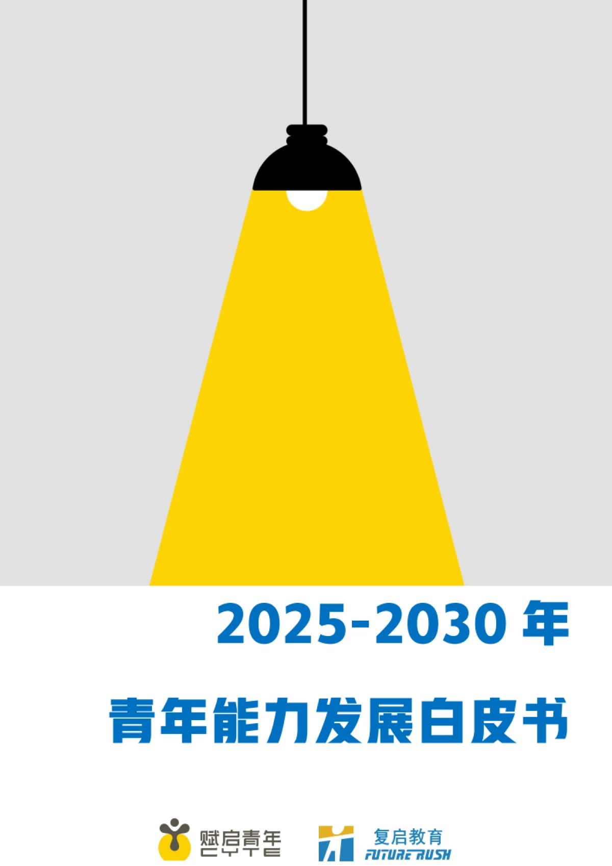 2025-2030年青年能力发展白皮书-复启教育&赋启青年-2025-34页_第1页