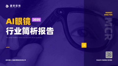 2025年AI眼镜行业简析报告-嘉世咨询