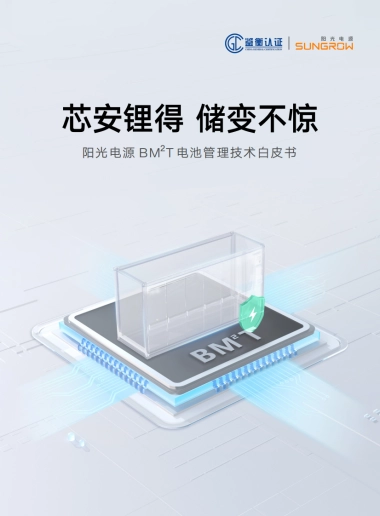 2025年BM²T电池管理技术白皮书-阳光电源