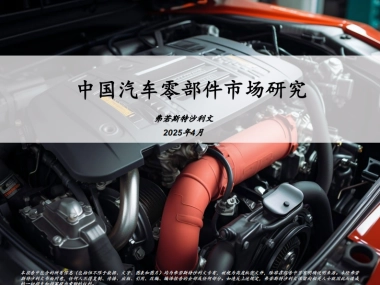 2025年中国汽车零部件市场研究报告-沙利文