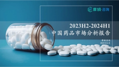2023年H2-2024年H1中国药品市场分析报告-摩熵咨询