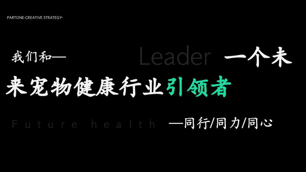 2024企业代理商大会暨新品发布会「聚势共赢 创宠物健康未来主题」活动动策划方案_第5页