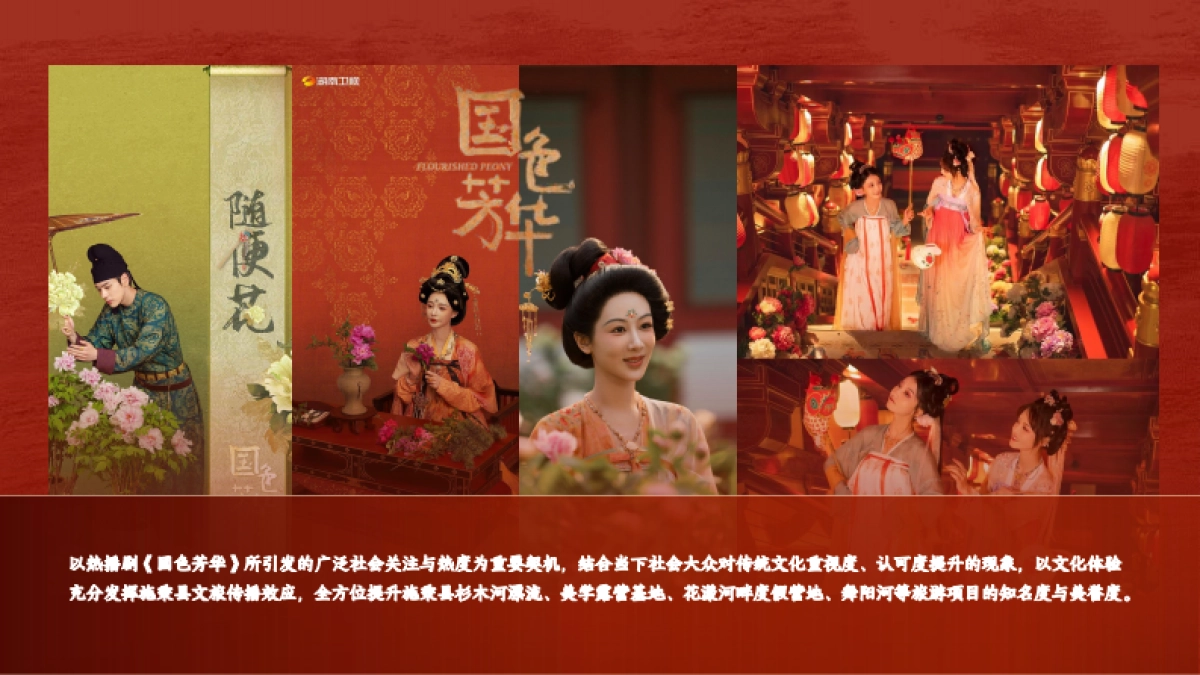 2025施秉县城市文旅宣传营销方案_第8页