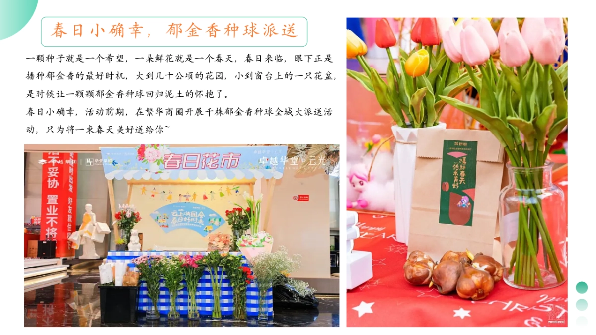 2025春季郁金香游园「花甜喜事 见花则喜主题」活动策划方案_第10页
