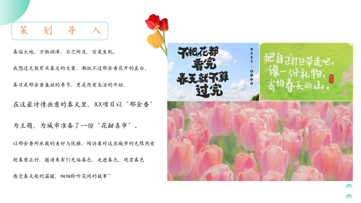 2025春季郁金香游园「花甜喜事 见花则喜主题」活动策划方案_第4页