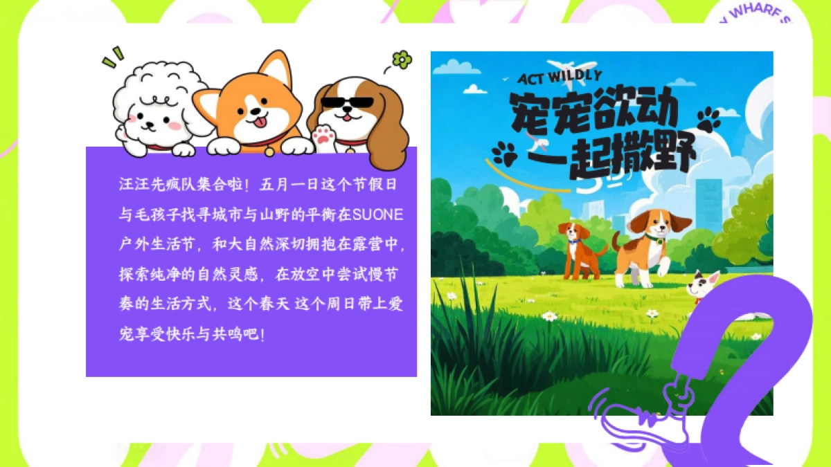 2025五一劳动节萌宠社交狂欢节「宠宠欲动 一起撒野主题」猫朋狗友碰头会活动策划方案_第3页
