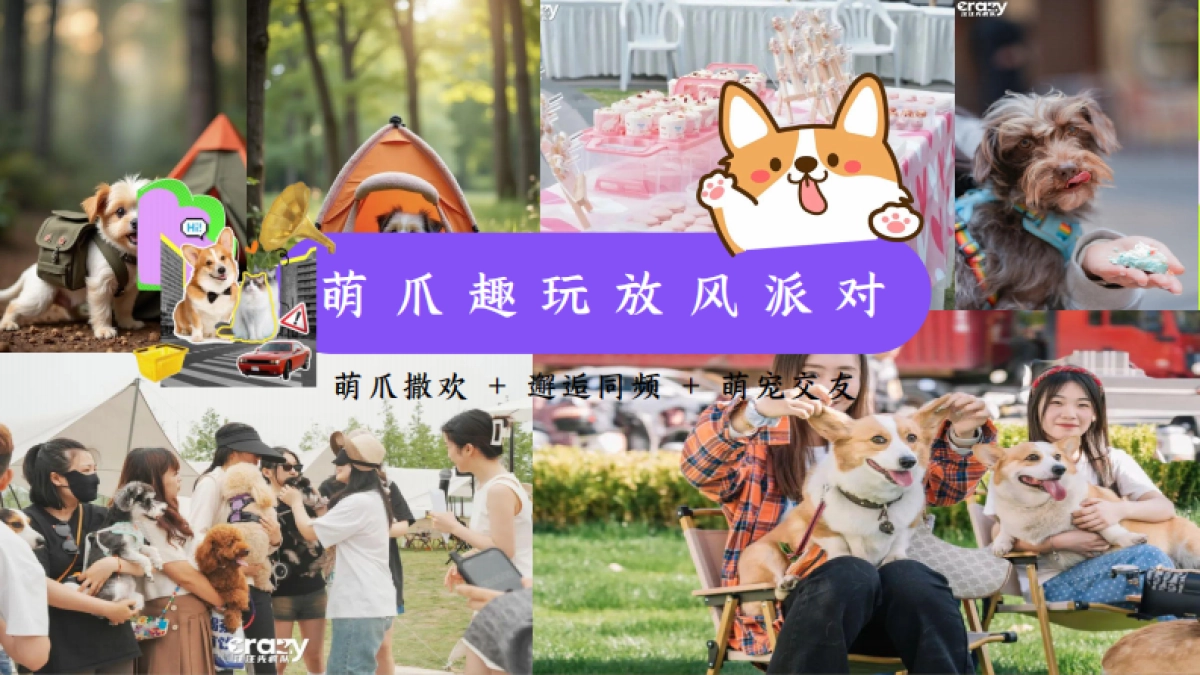 2025五一劳动节萌宠社交狂欢节「宠宠欲动 一起撒野主题」猫朋狗友碰头会活动策划方案_第9页