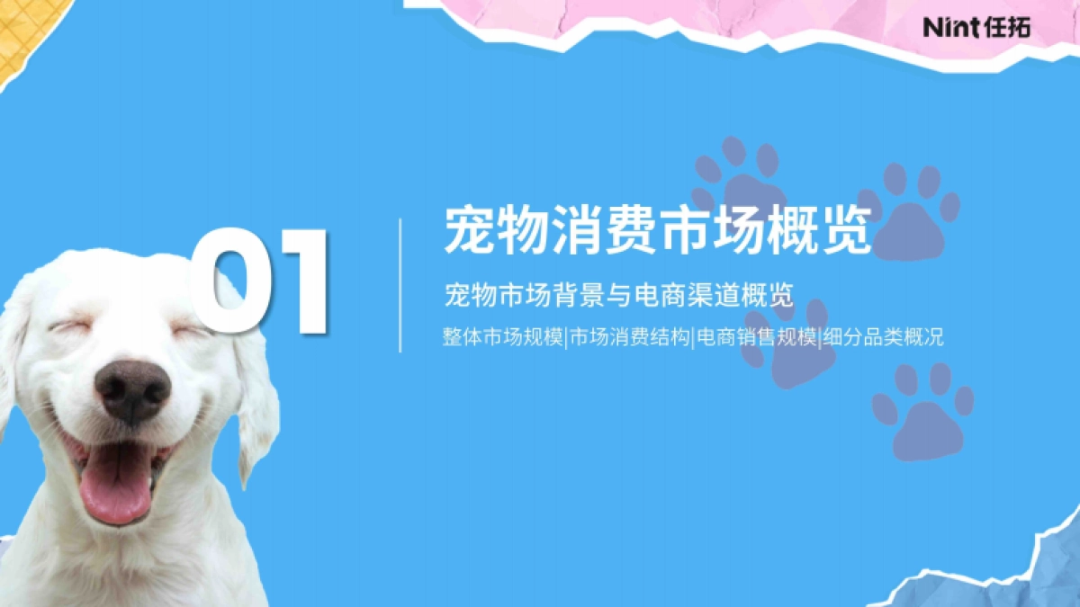 2025宠物电商市场分析报告_第3页