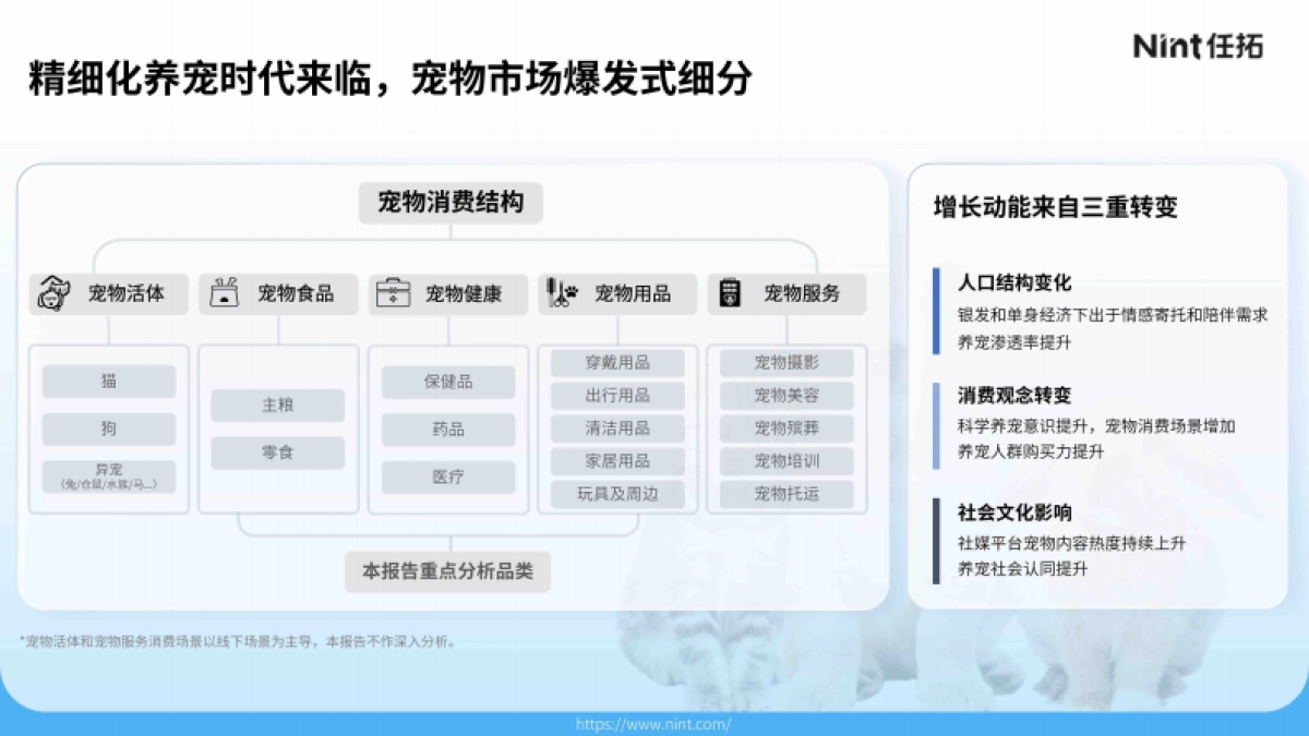 2025宠物电商市场分析报告_第7页