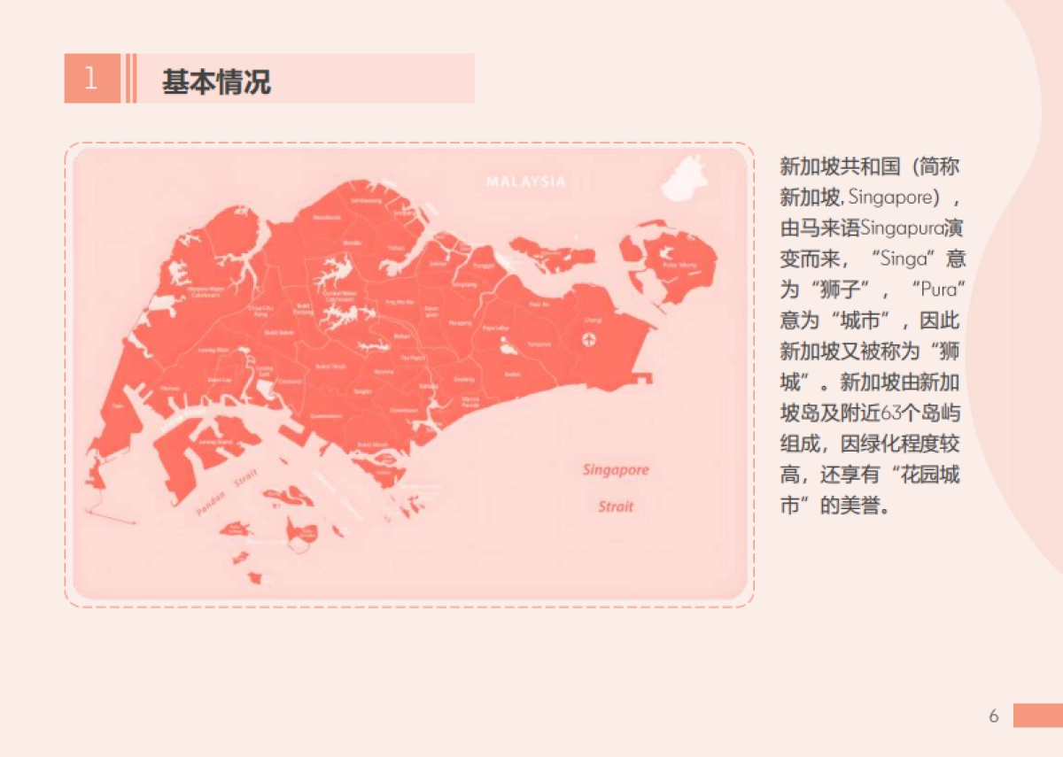 2025年东南亚出海指南报告-新加坡篇_第6页