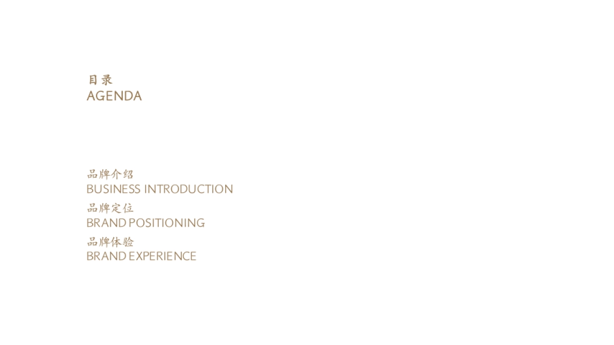 2025五季金陵酒店品牌定位规划方案_第2页