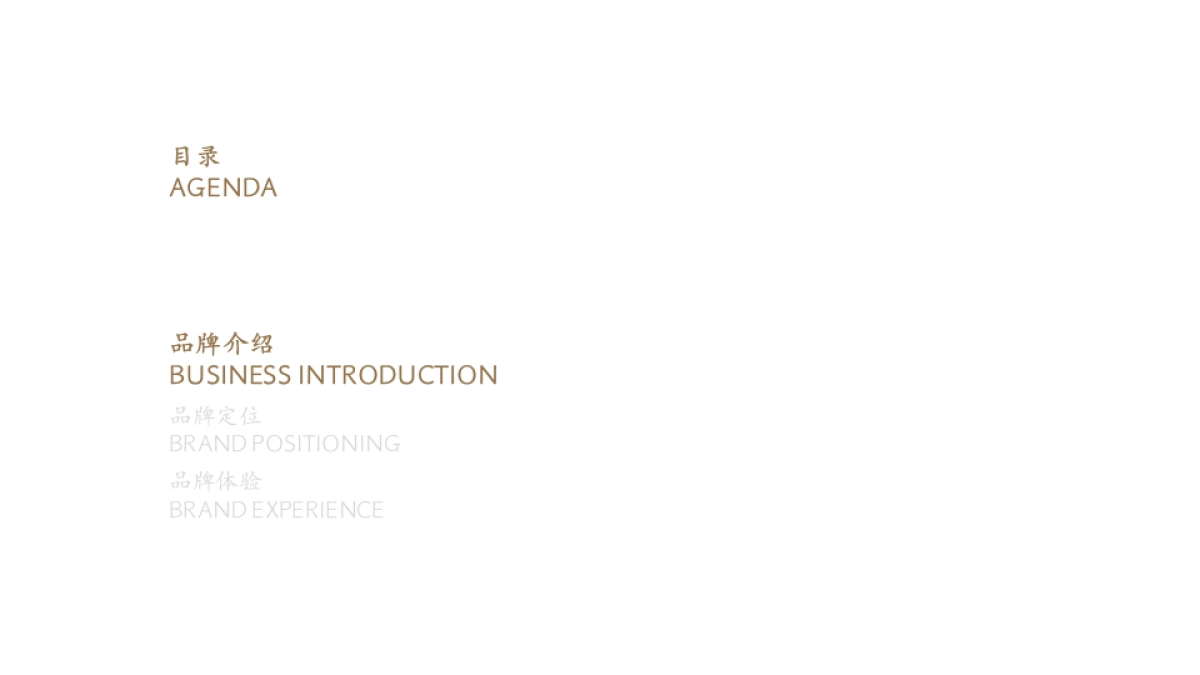 2025五季金陵酒店品牌定位规划方案_第3页