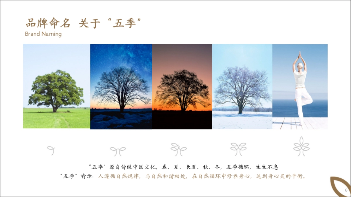 2025五季金陵酒店品牌定位规划方案_第6页