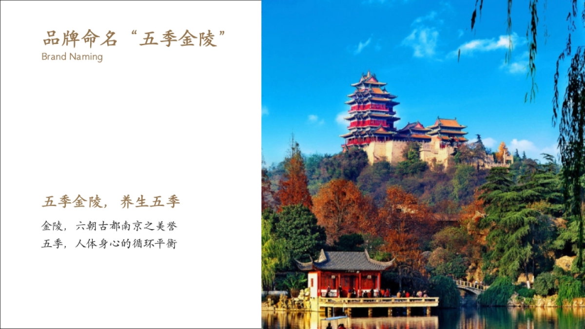 2025五季金陵酒店品牌定位规划方案_第7页